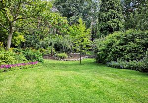 Optimiser l'expérience du jardin à Crevecoeur-en-Brie